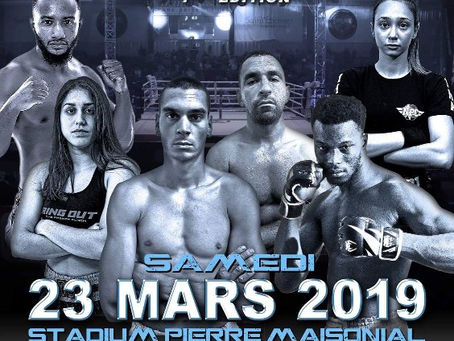 Fight Night One 7 billet