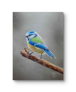 Zeichnung einer Blaumeise auf getöntem Papier