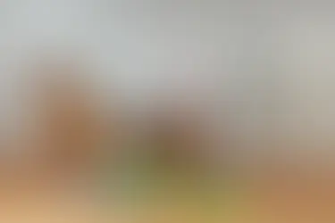 Moving boxes, Cleaning supplies