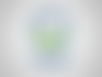 "Youth Peace & Justice Foundation," Releases Brief As ICE Community Conflicts Increase Nationwide