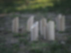 AdobeStock_704364936.jpeg