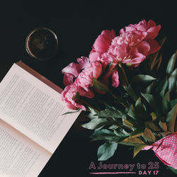 A Journey to 25 - Day 17