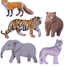 Animals