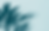 Untitled design.png 9.png