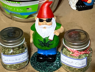 MJ 2020 Test Results
