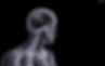 human,-skeleton,-gears-169620.jpg