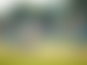 Join the Excitement of Meadows Premier League 2025