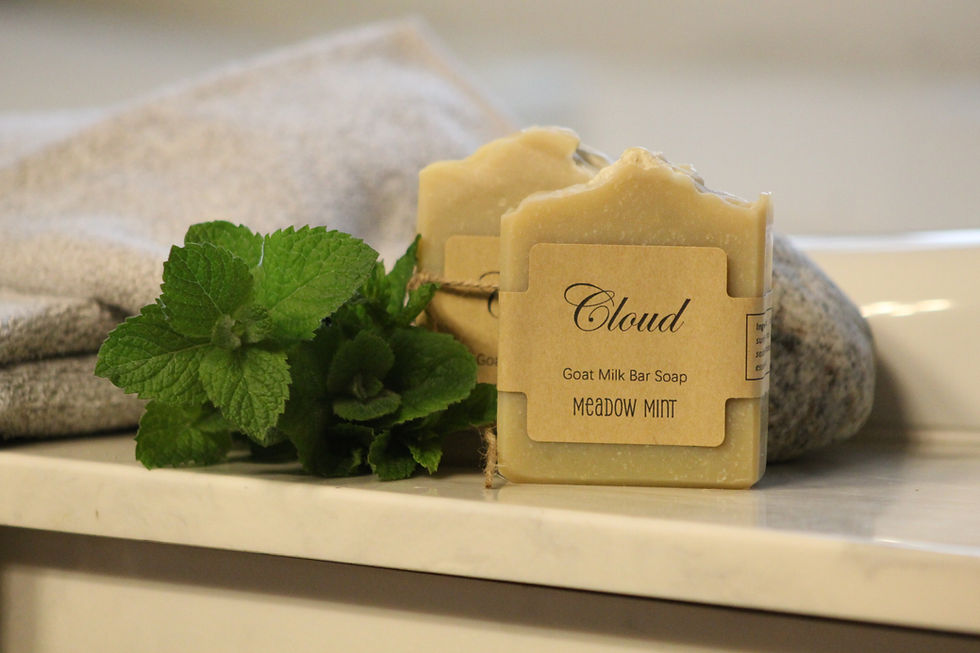 Thumbnail: Goat's Milk Bar Soap