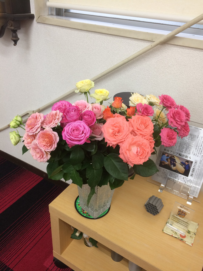 5月のお花