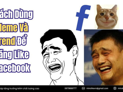 Cách Dùng Meme Và Trend Để Tăng Like Facebook: Công thức Triệu Like