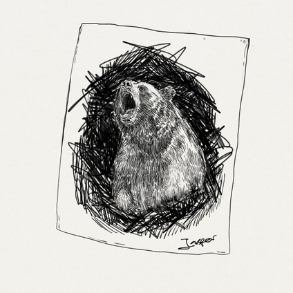 Bear Kiri Lightfoot Cover Design Pippa Keel Situ