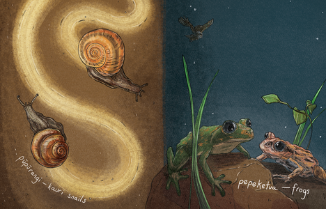 Illustrations by Pippa Keel Situ