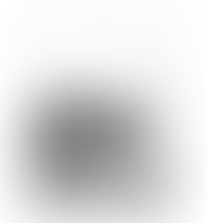 Bear Cover Design Pippa Keel Situ