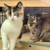 IMG_6156 2_edited.jpg