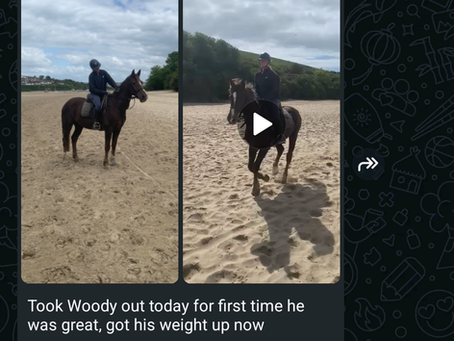 Update , passed his beach/sand test