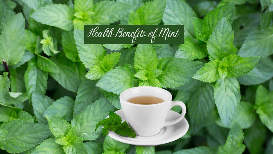 The Power of Mint: Exploring the Health Benefits of Mint