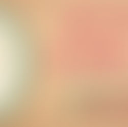 Illustration celebrating Our Lady of Guadalupe, featuring a serene depiction of the Virgin Mary surrounded by radiant light, with floral embellishments and the date, Saturday, December 6