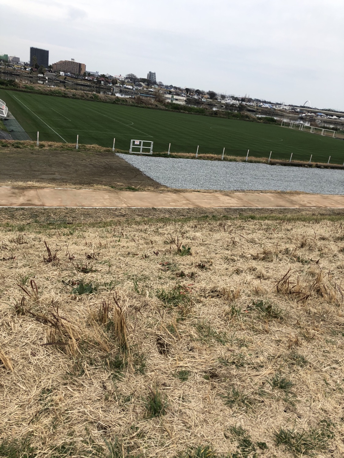 執筆者の写真: 5期生　山田　爽平