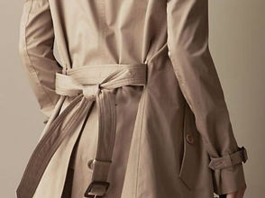 Conheça o elegante casaco Trench Coat
