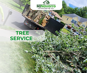 concrete & patios (1).png