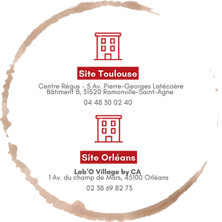 Éléments Newsletter-19.png