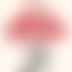 Bilan de compétences : comment choisir le bon organisme ?