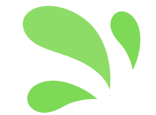 Le Bon Zeste de Com_picto vert uni_gauche.png