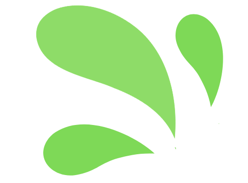 Le Bon Zeste de Com_picto vert uni_gauche.png