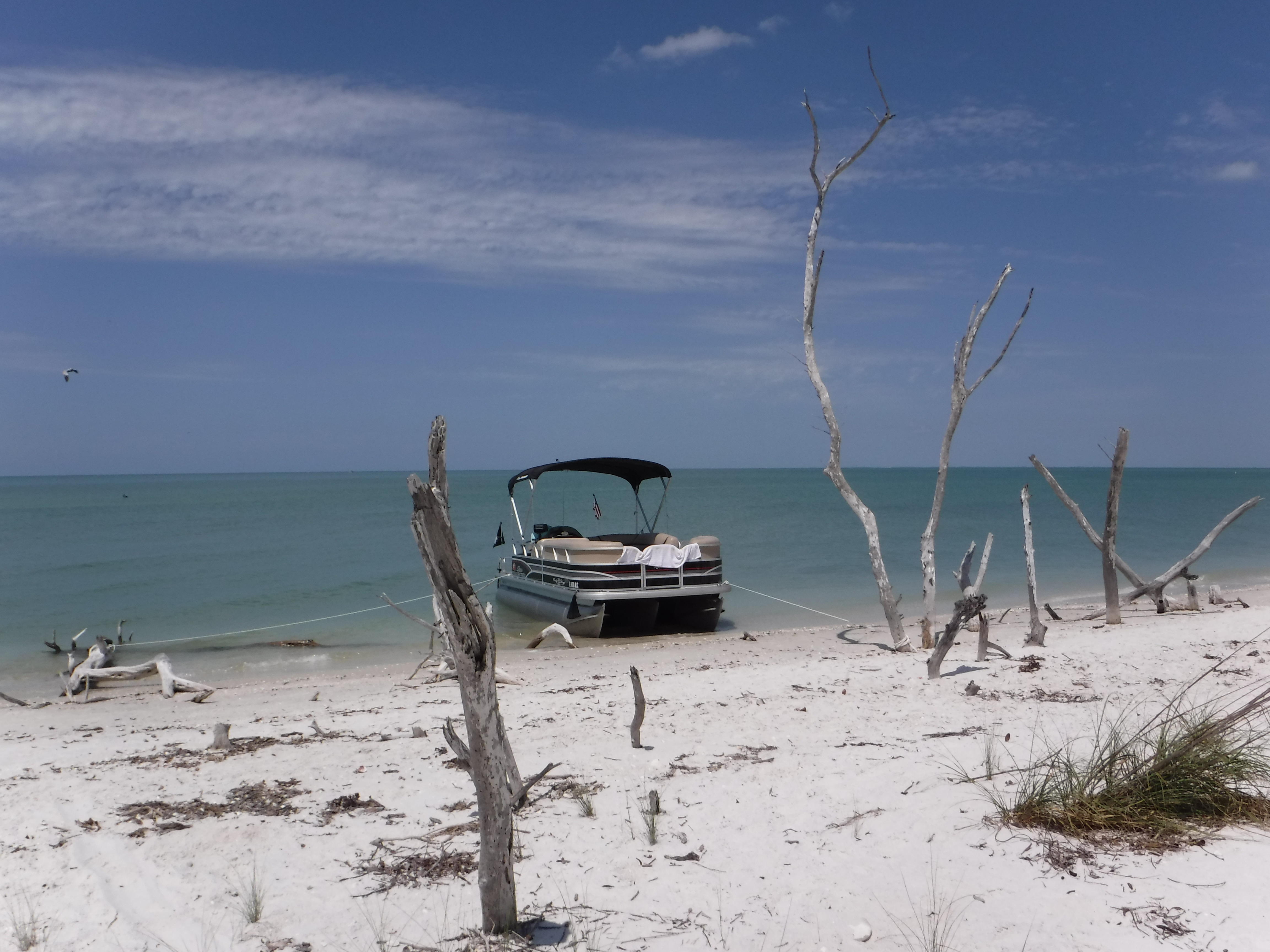 Seclusion