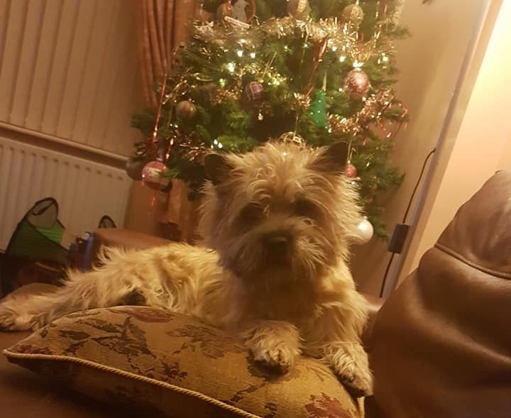 Belated Xmas Wishes from Doonrae! 
