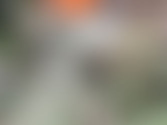 There’s a five-word question that can show you exactly where you’ve grown dull. It takes humility to ask it—but it’s the key to letting God’s refining power work through others in your life.