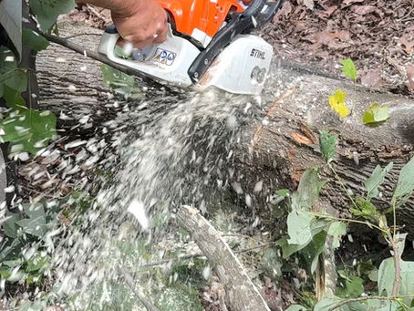 There’s a five-word question that can show you exactly where you’ve grown dull. It takes humility to ask it—but it’s the key to letting God’s refining power work through others in your life.