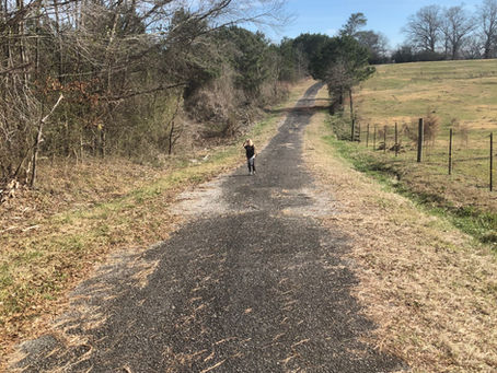 I have sinned too much…