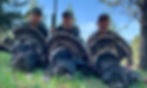 GroupTurk2014_edited.jpg