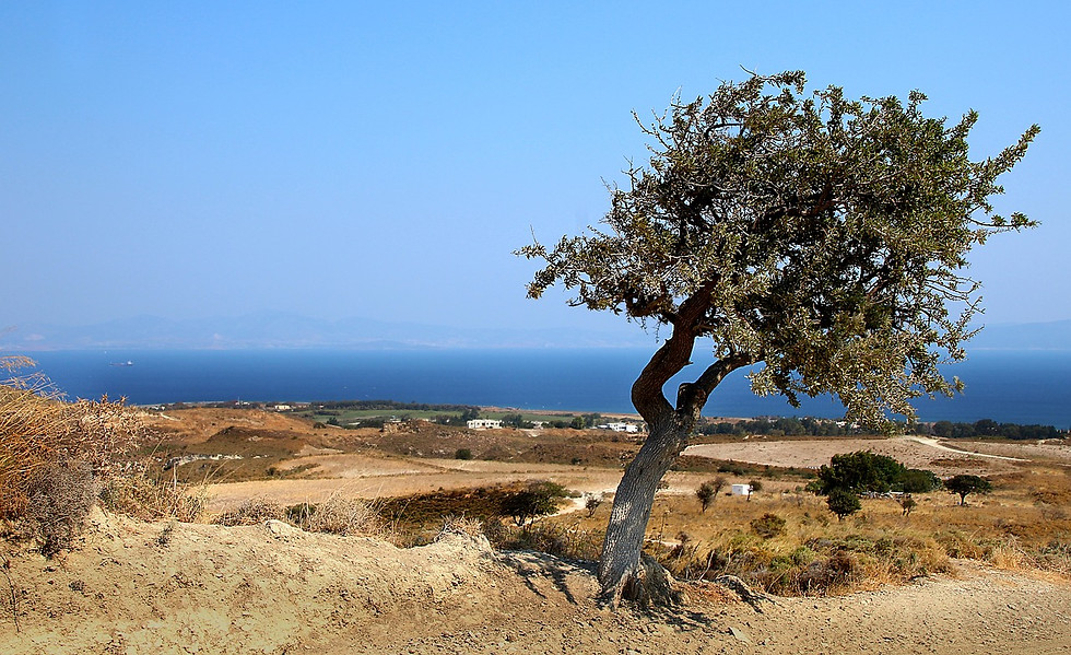 Miniatura: KOS - Pacchetto Mare su Misura 7 notti