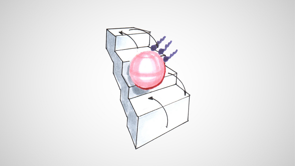 TWNC Web Product-08.png