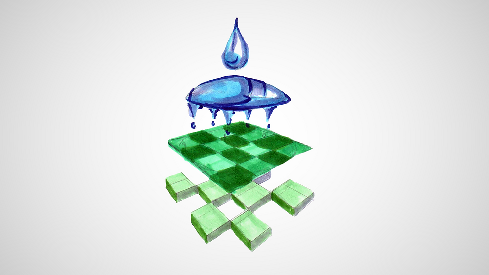 TWNC Web Product-13.png