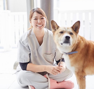 動物看護師として活動するフロレンスメモリ代表