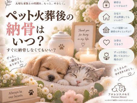 ペット火葬 納骨 いつ