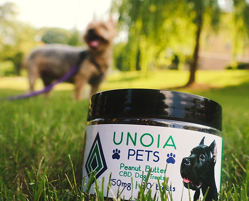 CBD for dogs - peanut butter treats.jpeg