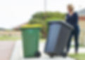 cleanbins.jpg