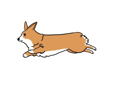 corgi-run.gif