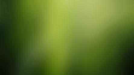 市民ランナーのための “炭水化物論”