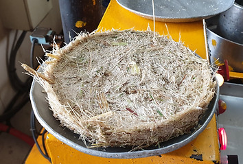 20190627_094334.jpg