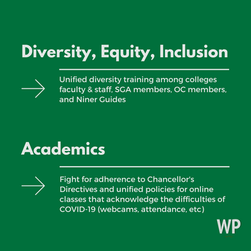 DEI and Academics