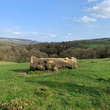 IMG_2861.jpeg