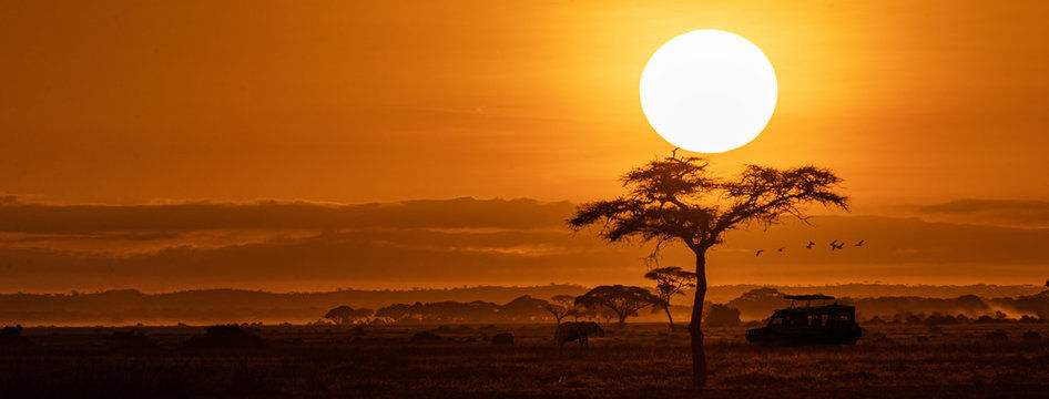 Safari Landscape.jpg