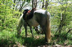 13235199_10154212454794233_542590783982856511_o