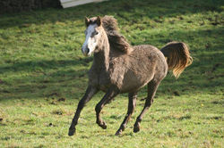 10849918_10152950526919233_4781780129385533239_n