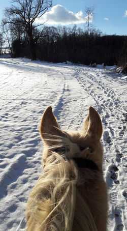 16195329_10154943611544233_8616773920759232371_n